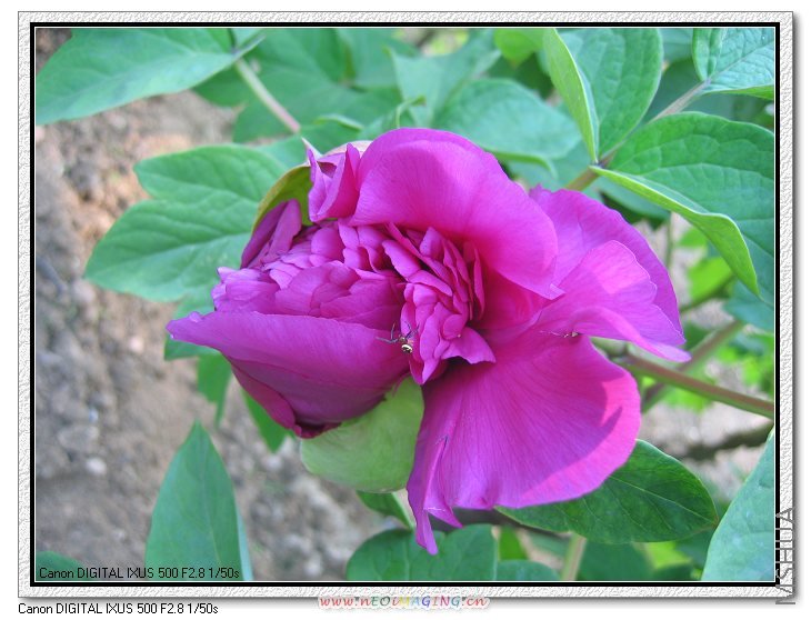 4.27���� 052.jpg