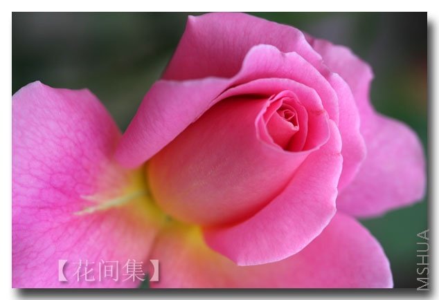 IMG_2396 ����.jpg