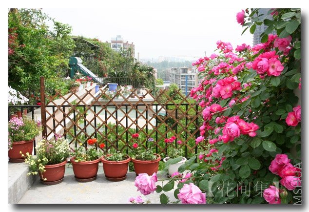 IMG_1184 ����.jpg