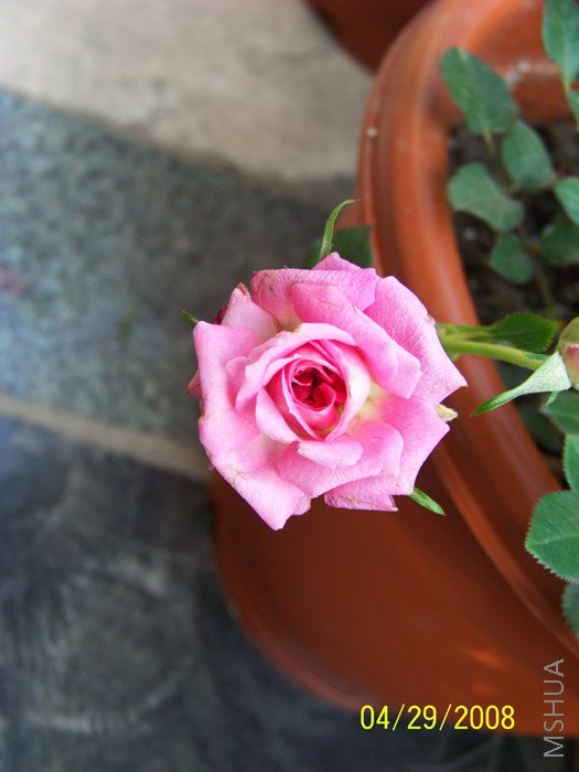 ��Ƭ 014.jpg