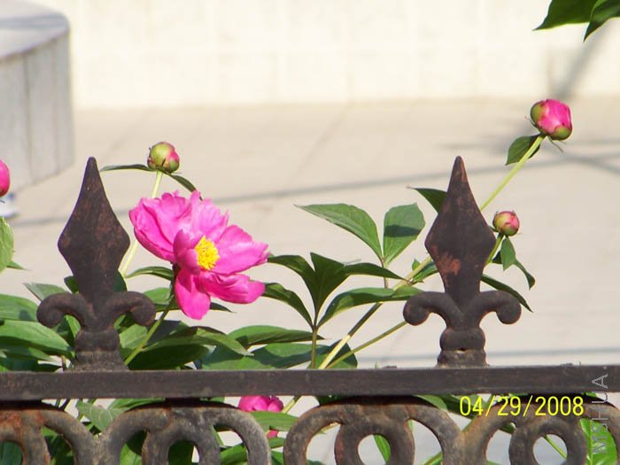 ��Ƭ 031.jpg