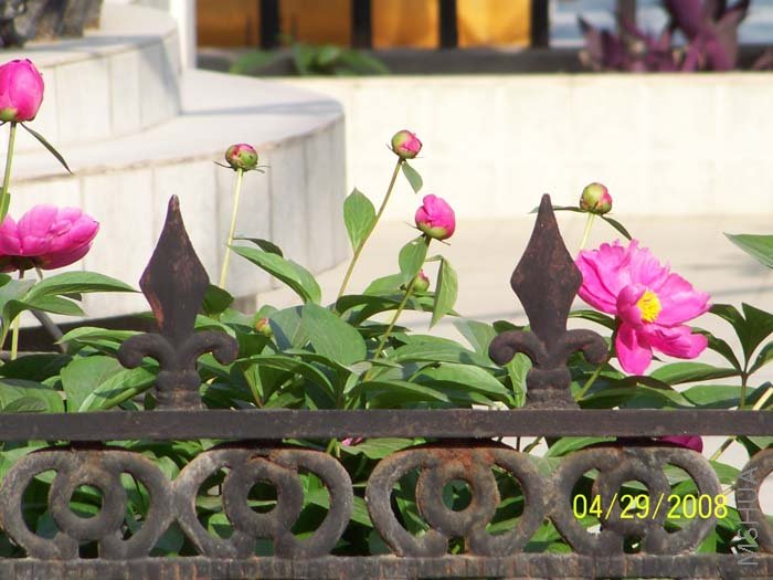 ��Ƭ 028.jpg