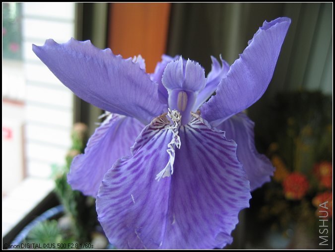4.29 �β ����.jpg