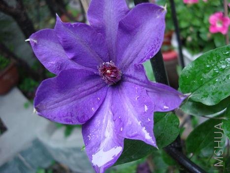 ��������ͳ