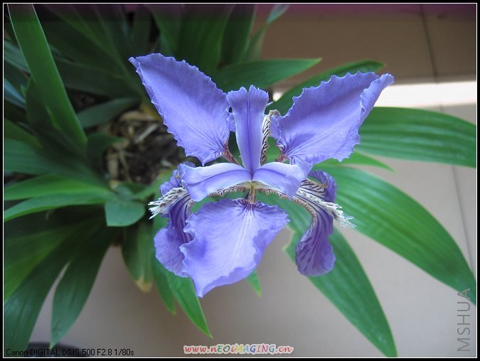 4.29����.jpg