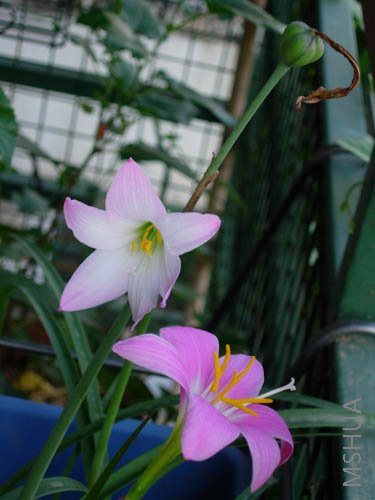 DSCN6771.JPG