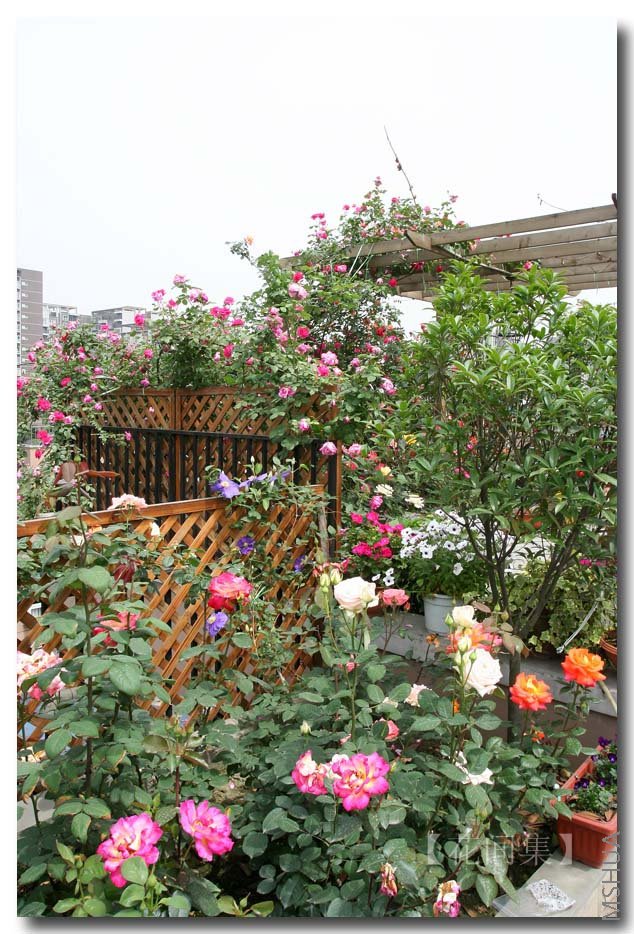 IMG_1185 ����.jpg