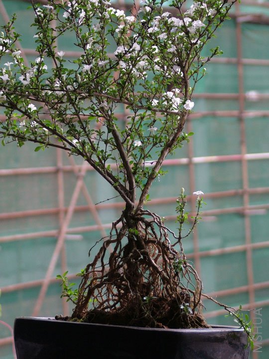 ������ǳ����ˣ���̬�����ҡ�