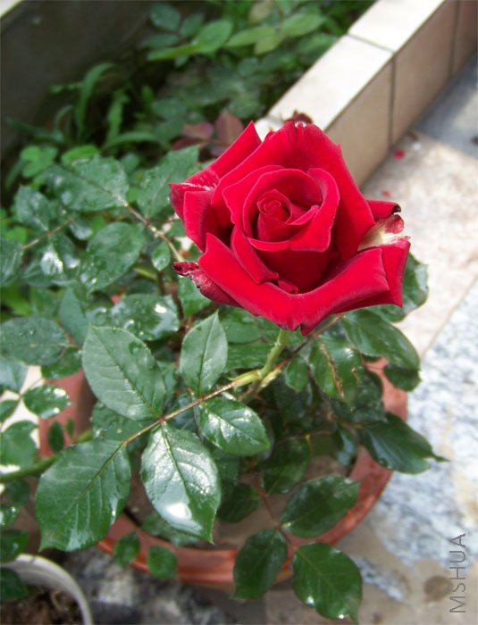 ��Ƭ 008.jpg
