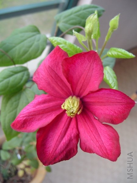 �����е�԰