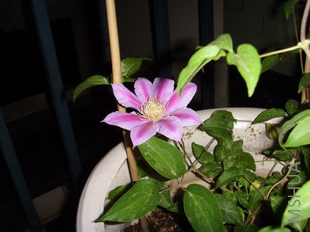 ���� SSL25129.jpg