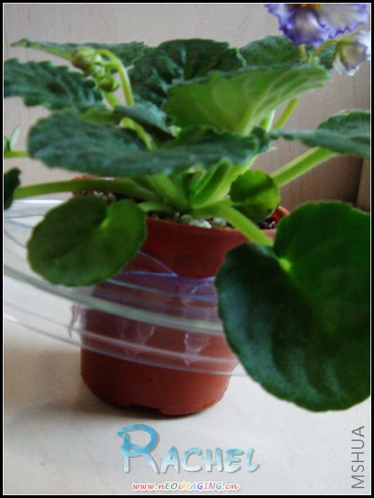 �ѻ�������һ�ס��������