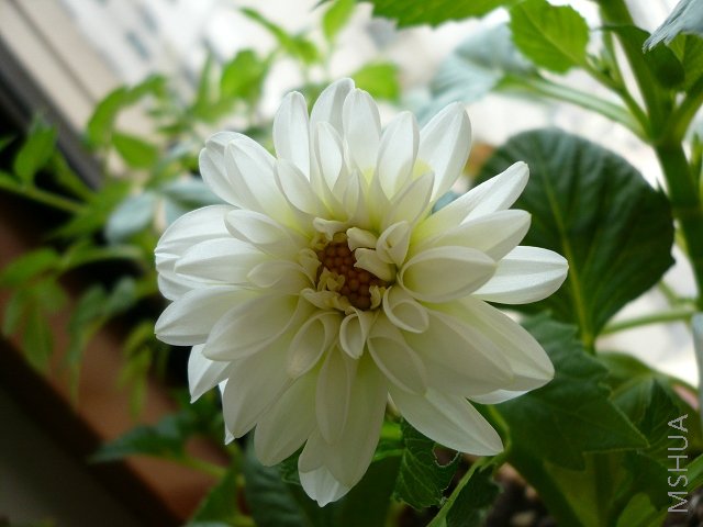 ����ʱ�������С����