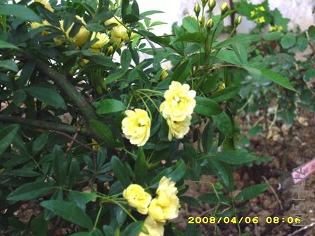 ��Ƭ 040.jpg