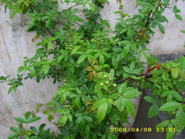 ��Ƭ 049.jpg
