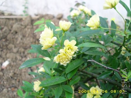 ��Ƭ 035.jpg