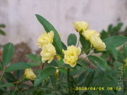 ��Ƭ 033.jpg