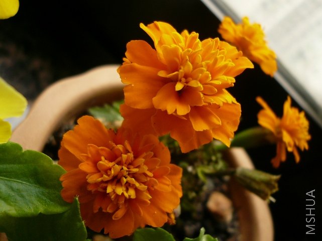 ���ǵ����ʱ���6CMС��ȸ�������£��������⼸�䣬��ȸ���Ҷ�ȥ