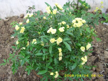 ��Ƭ 032.jpg