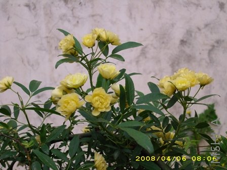 ��Ƭ 039.jpg