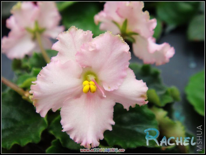 DSC01000.JPG