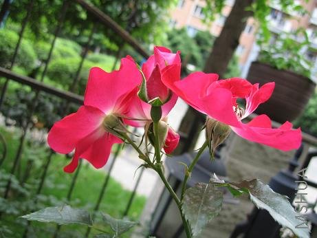 �����ɵµķ��˺���