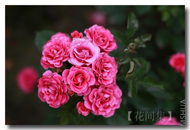 IMG_3033 ����.jpg