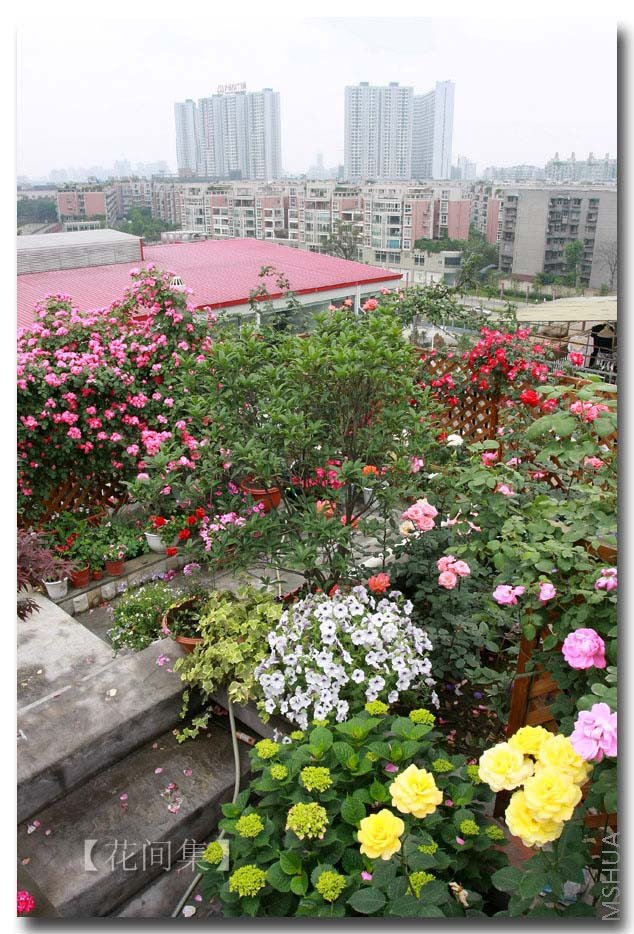 IMG_3129 ����.jpg