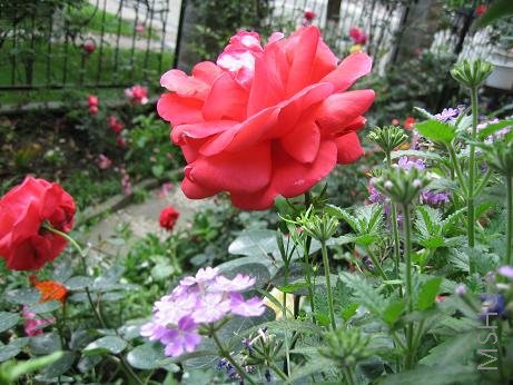 ������������е�����