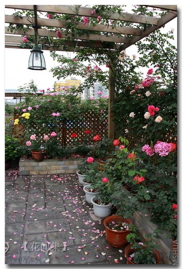 IMG_3127 ����.jpg