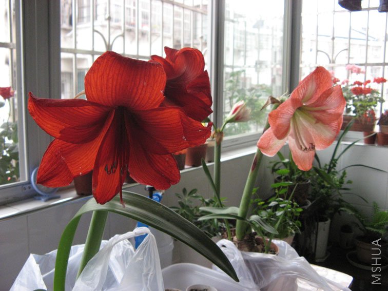 ����15��