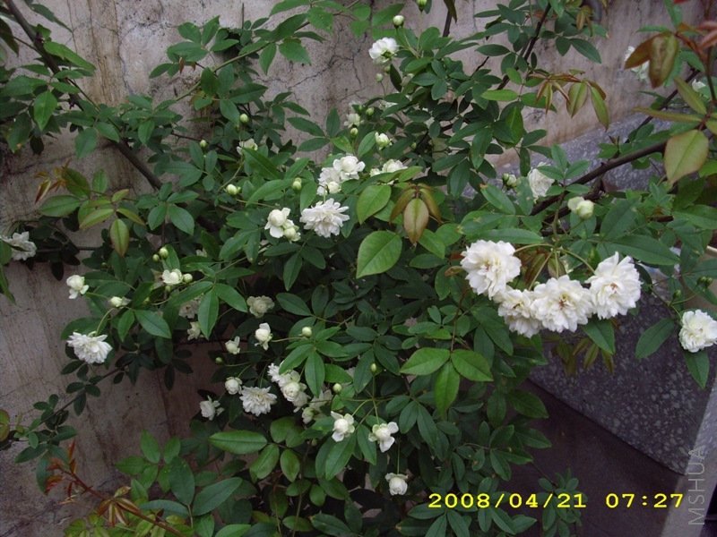 ľ�� 038.jpg