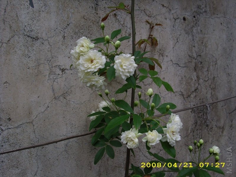 ľ�� 039.jpg