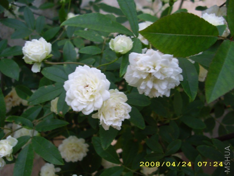 ľ�� 066.jpg