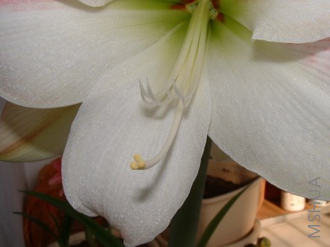 ��һ���ڷ�