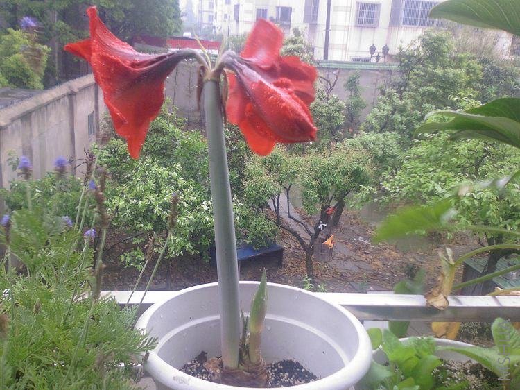 ��Ƭ-038.jpg