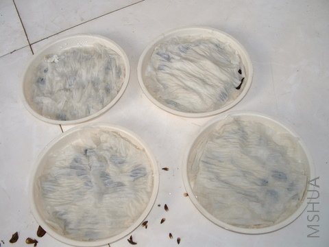 ���Ѿ����ֵ�90�����ӣ����ڽ��죩