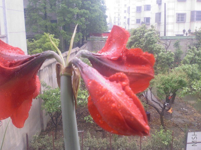 ��Ƭ-037.jpg