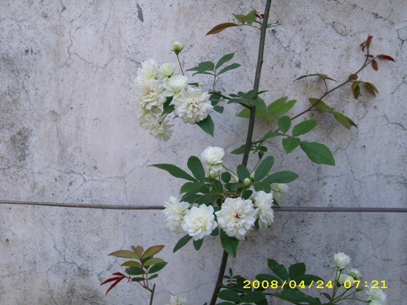 ľ�� 063.jpg