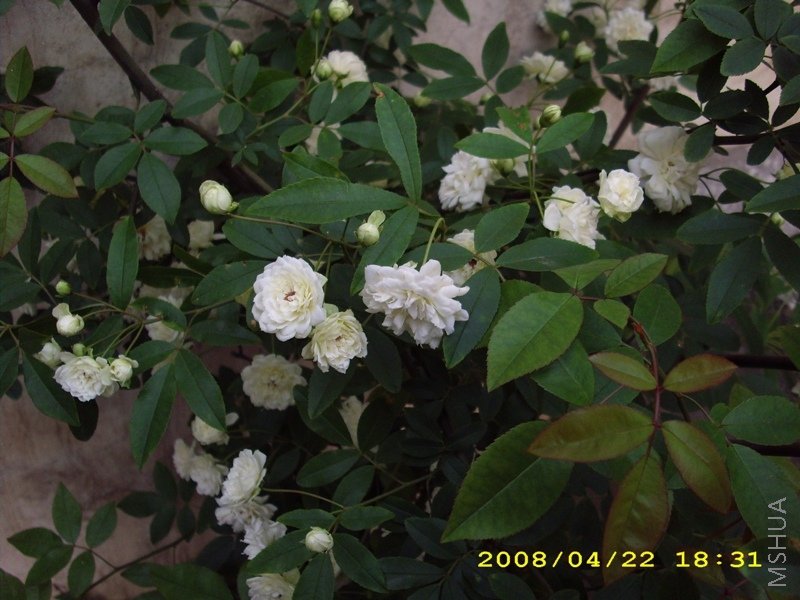 ľ�� 054.jpg