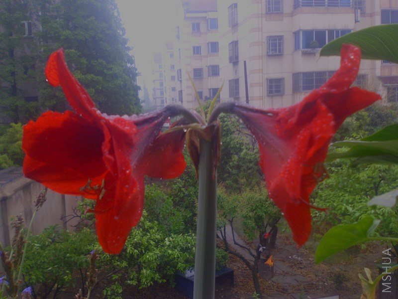 ��Ƭ-035.jpg