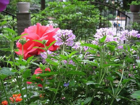 �ڶ���Ů��ӵ���¼����������޸���ǳ