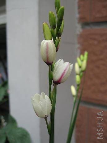 ���װٺϿ��ˣ�����ٺϻ���ô����������ϵ�����ģ���˼����