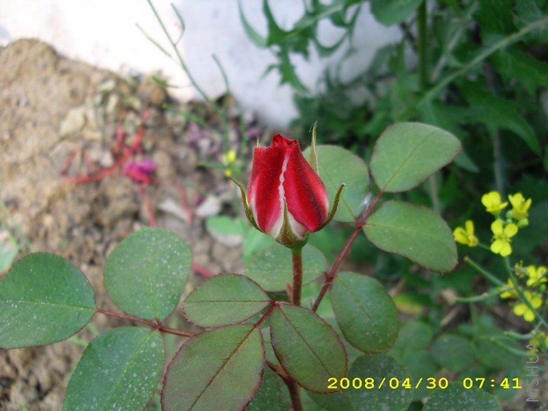 ��˶�3  _0414.JPG