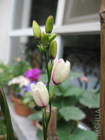 ���ڻ������ÿ�