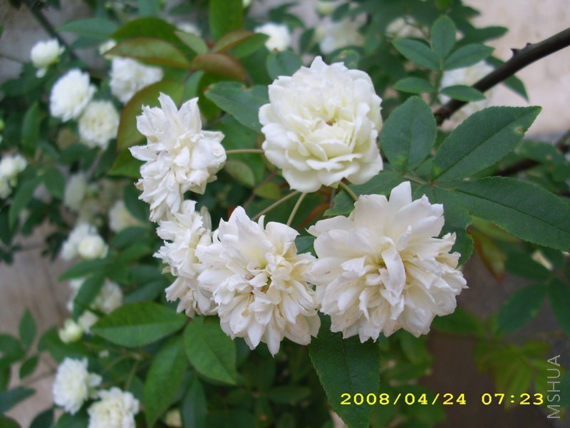 ľ�� 065.jpg