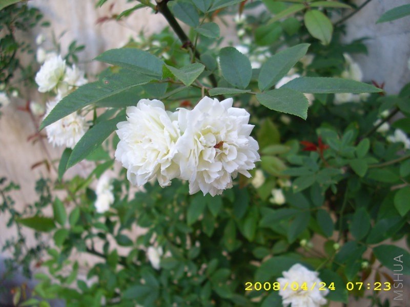 ľ�� 064.jpg