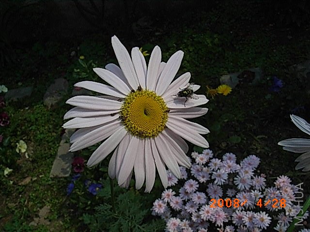 �컨�����,��Ҳ����,��֪�ǲ���