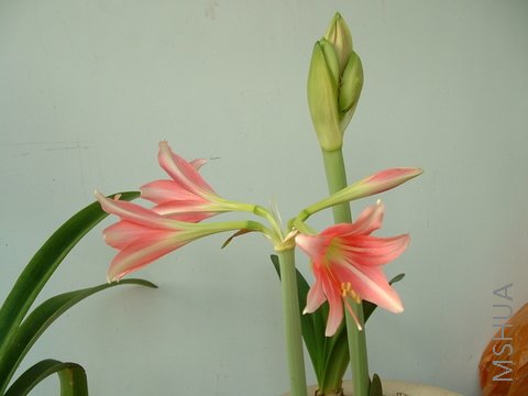 �ڶ�֧�������¹����˻���