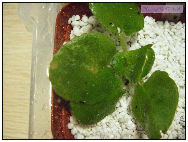 �����ǲ����е㲻�